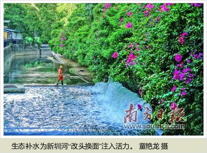 水污染治理助寶安生態環境舊貌換新顏